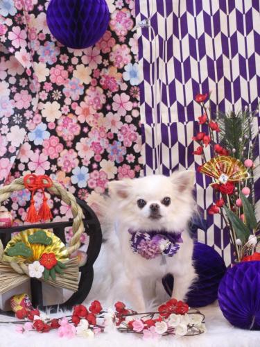 20250105りゅうくん